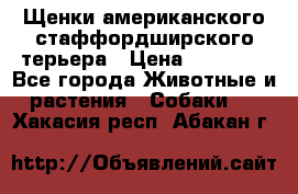 Щенки американского стаффордширского терьера › Цена ­ 20 000 - Все города Животные и растения » Собаки   . Хакасия респ.,Абакан г.